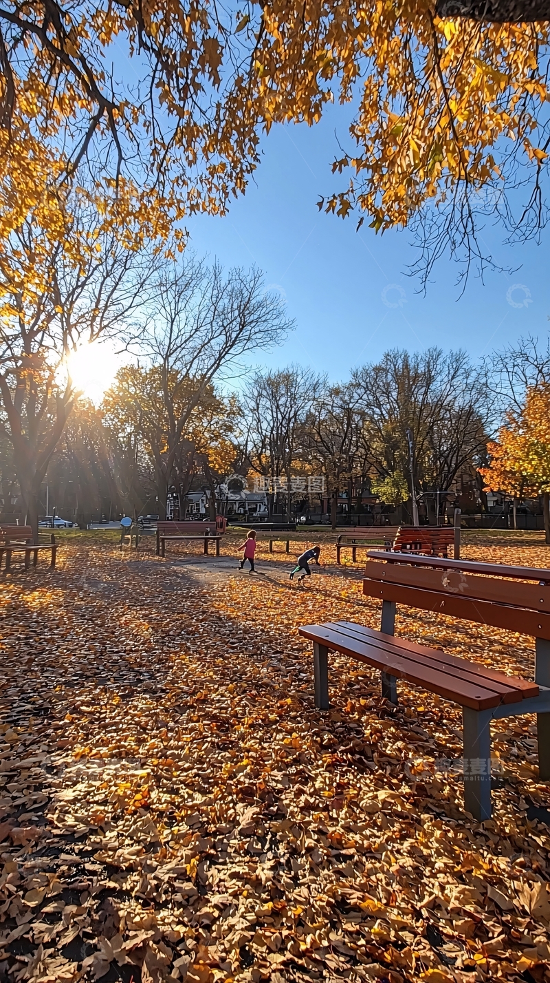 高清大图下载【趣麦麦图】秋日公园阳光洒满落叶