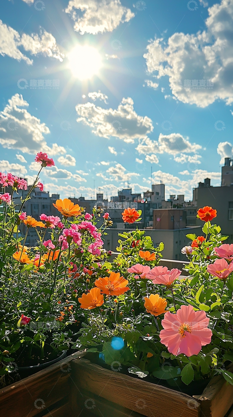 高清大图下载【趣麦麦图】阳光明媚屋顶花园