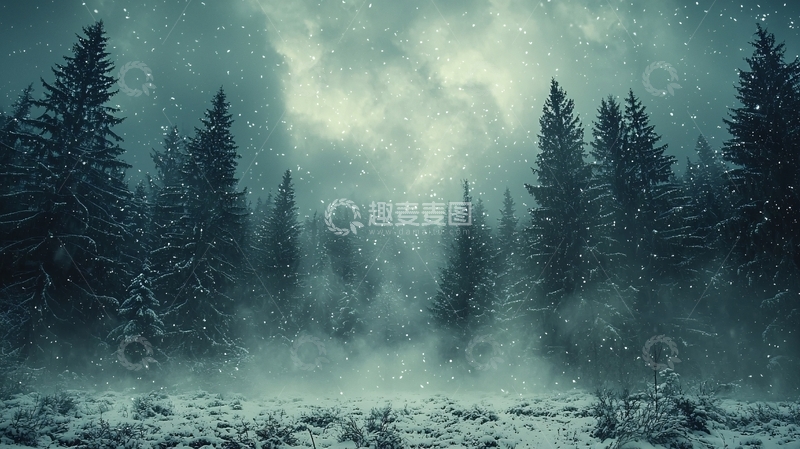 高清大图下载【趣麦麦图】雪夜森林