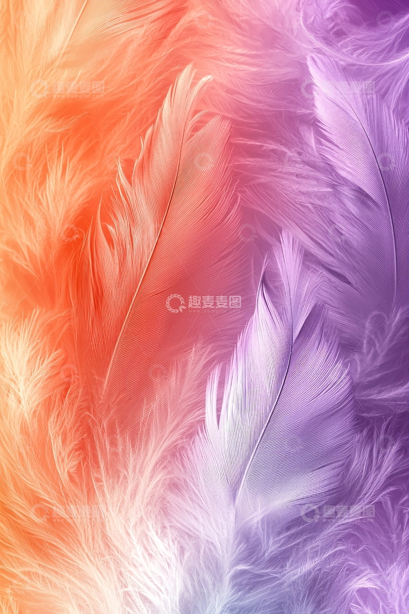 高清大图下载【趣麦麦图】彩色羽毛背景
