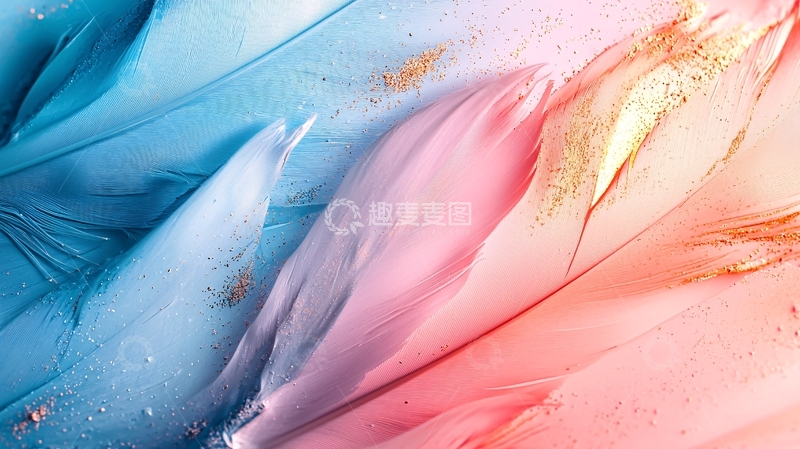 高清大图下载【趣麦麦图】彩色羽毛