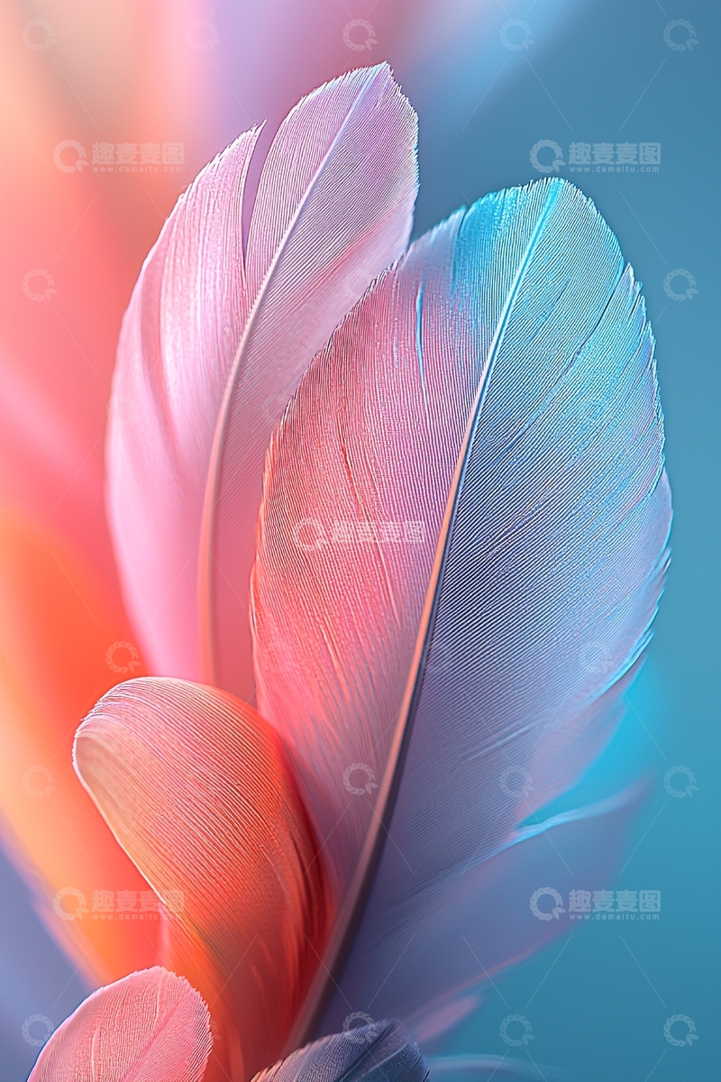 高清大图下载【趣麦麦图】粉色羽毛