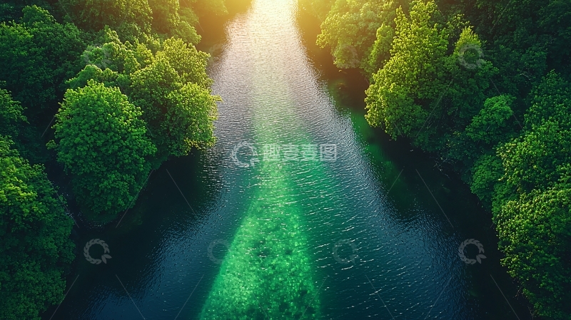 高清大图下载【趣麦麦图】森林河流阳光