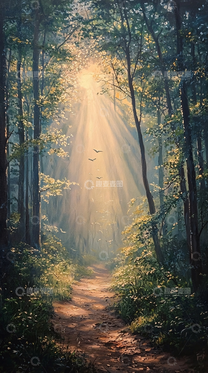 高清大图下载【趣麦麦图】森林小路阳光