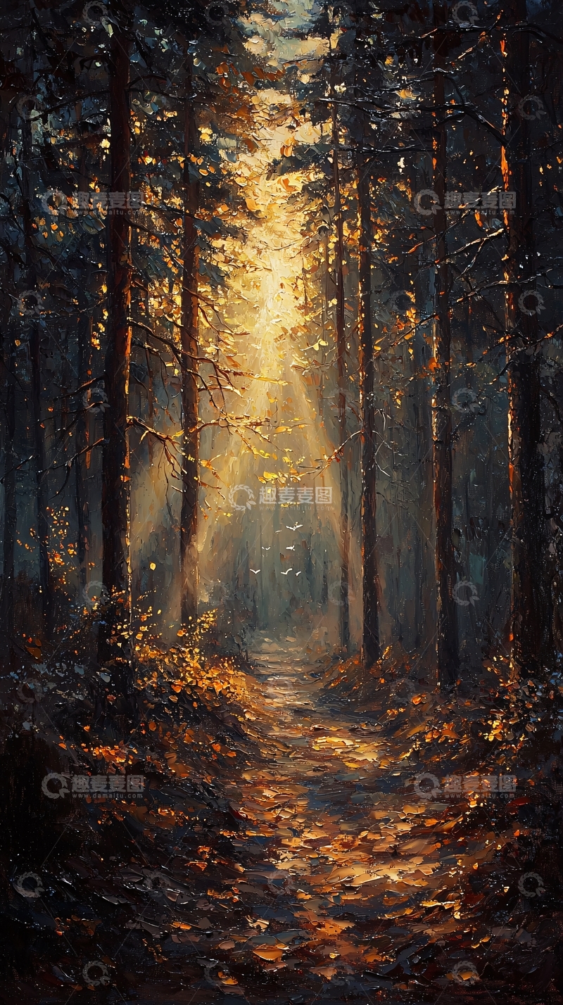 高清大图下载【趣麦麦图】森林小路阳光洒照