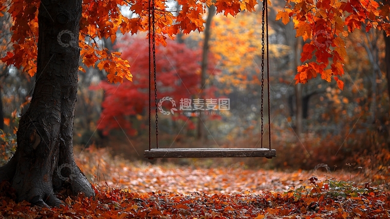 高清大图下载【趣麦麦图】秋日森林秋千