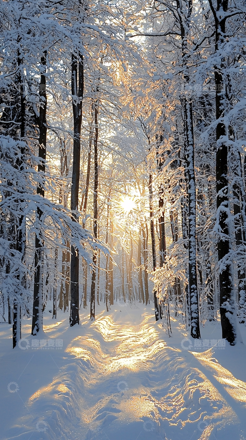 高清大图下载【趣麦麦图】雪地森林小路