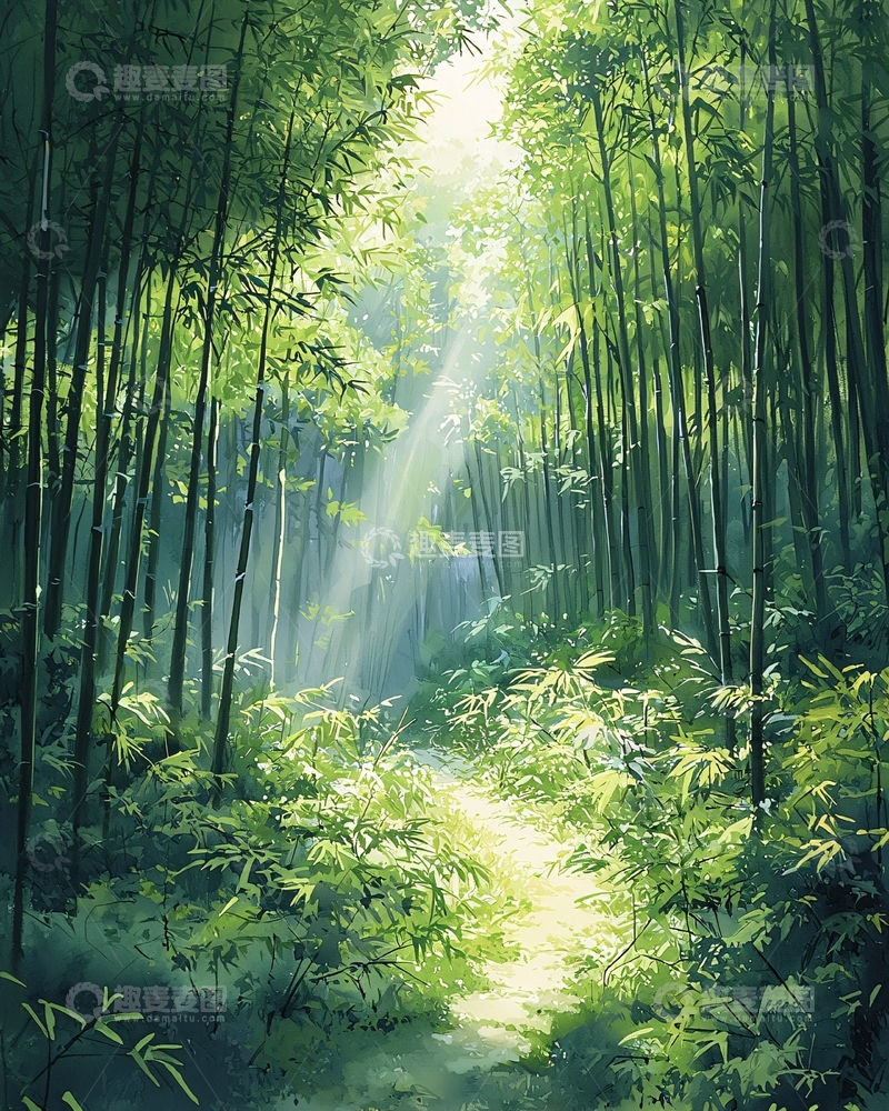 高清大图下载【趣麦麦图】阳光透过竹林小路