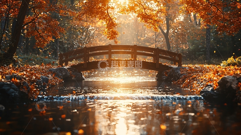 高清大图下载【趣麦麦图】秋日阳光下的木桥