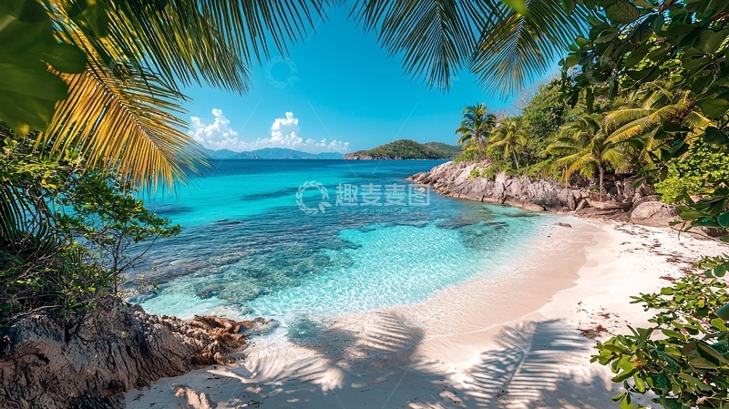 高清大图下载【趣麦麦图】热带海滩椰林风光