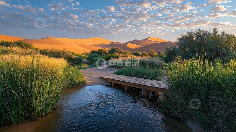 高清大图下载【趣麦麦图】沙漠绿洲木桥流水
