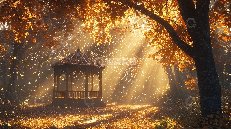 高清大图下载【趣麦麦图】秋日阳光下的凉亭