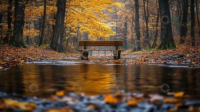 高清大图下载【趣麦麦图】秋日森林小溪长椅