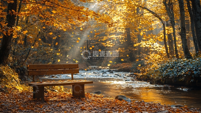 高清大图下载【趣麦麦图】秋日森林小溪长椅