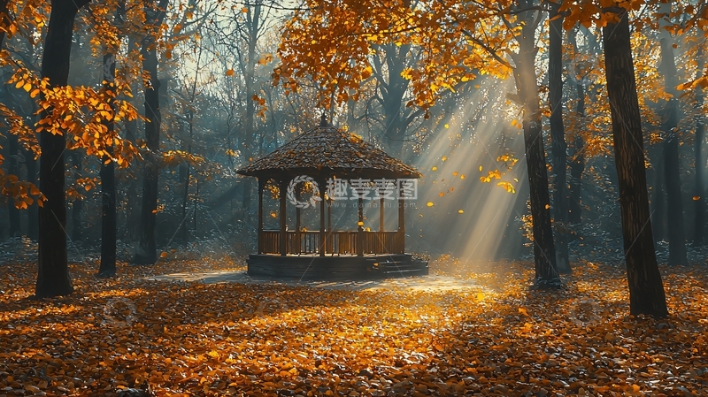 高清大图下载【趣麦麦图】秋日森林凉亭
