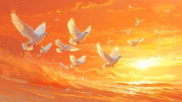 夕阳下飞翔的白鸽