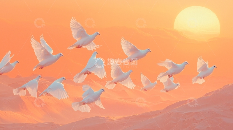 高清大图下载【趣麦麦图】日出时分飞翔的白鸽