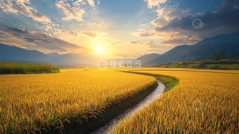 高清大图下载【趣麦麦图】日出田野小路
