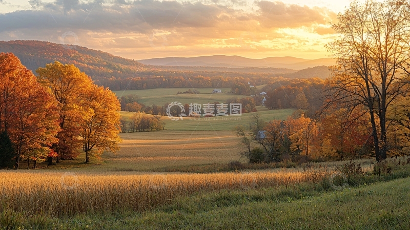 高清大图下载【趣麦麦图】秋日田园金色山谷