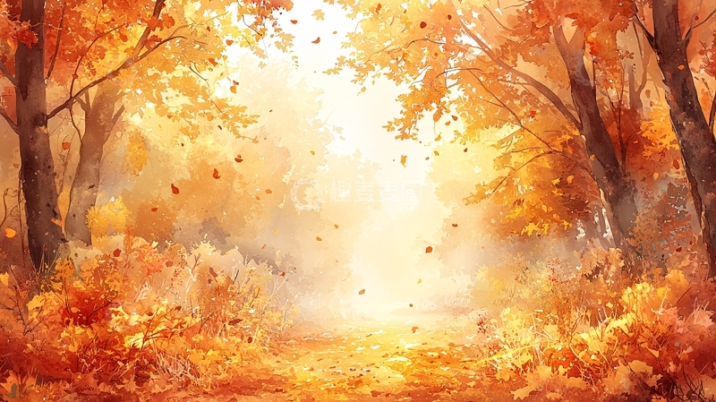 高清大图下载【趣麦麦图】秋季森林