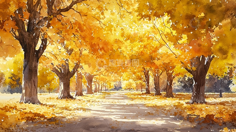 高清大图下载【趣麦麦图】秋日金黄树林小路