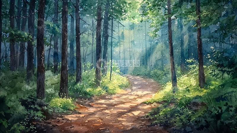 高清大图下载【趣麦麦图】阳光森林小路