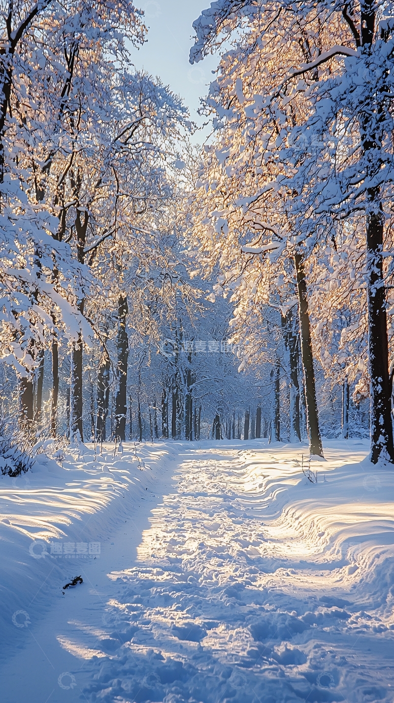 高清大图下载【趣麦麦图】冬日雪景林间小路