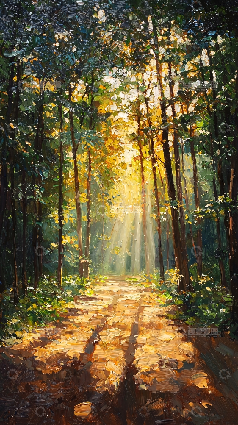 高清大图下载【趣麦麦图】森林小路阳光