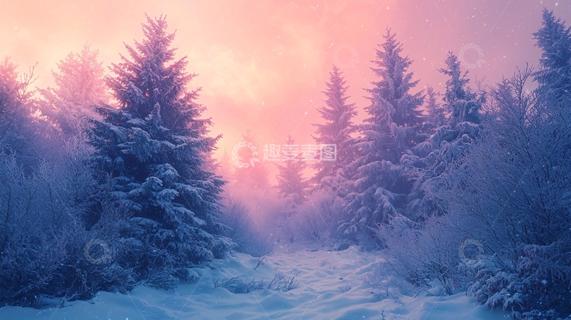 高清大图下载【趣麦麦图】冬日雪景森林
