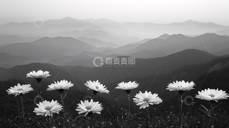 高清大图下载【趣麦麦图】黑白山景花朵