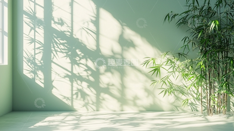 高清大图下载【趣麦麦图】极简绿植空间阳光投射