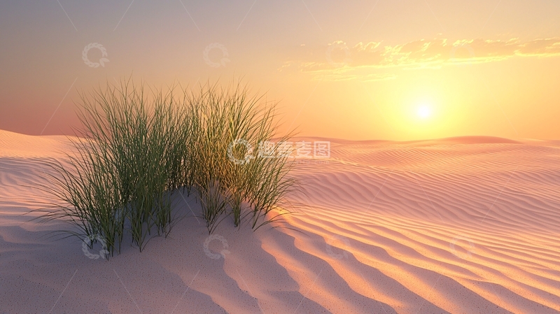 高清大图下载【趣麦麦图】沙丘上的草在日落时分