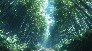 竹林小径