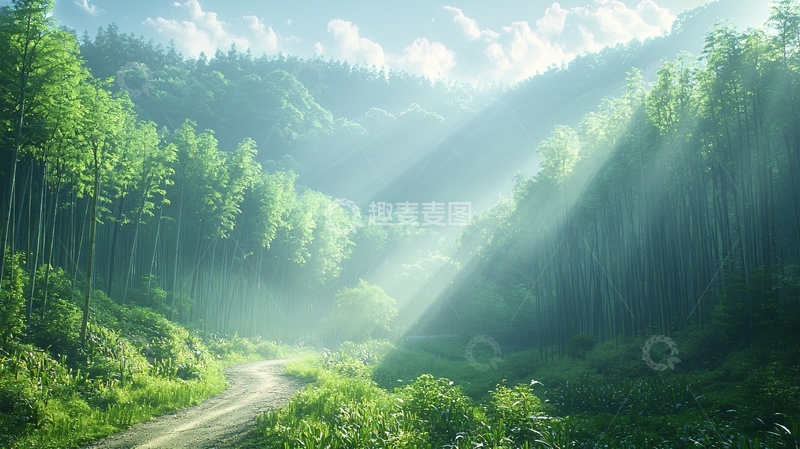 高清大图下载【趣麦麦图】清晨森林阳光洒落小路