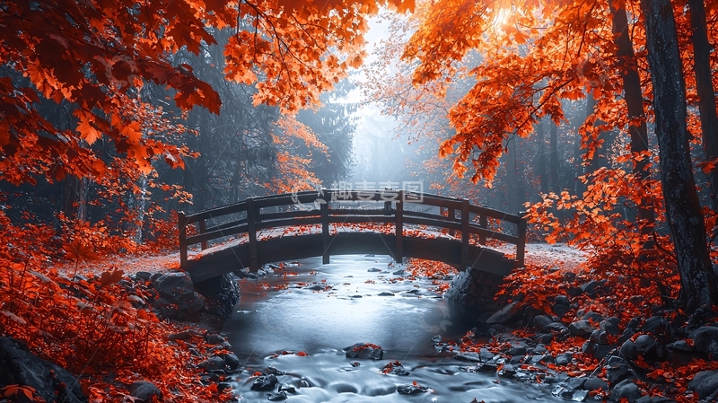 高清大图下载【趣麦麦图】秋日森林小桥流水