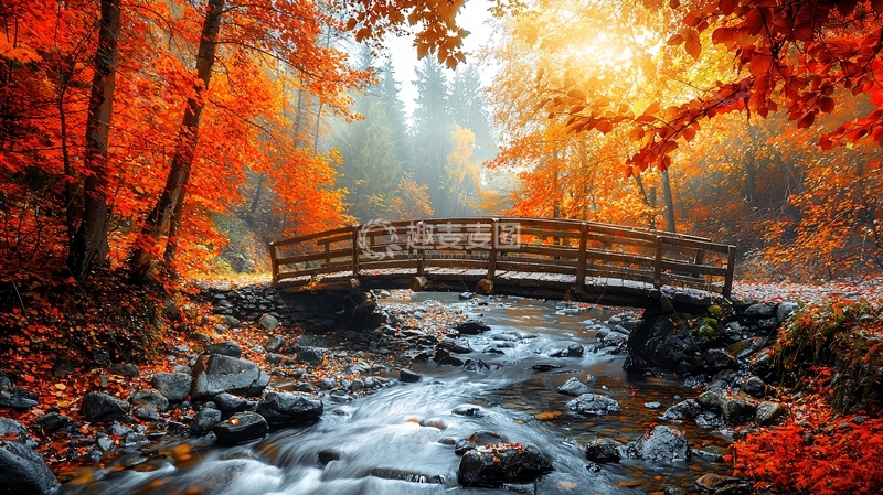 高清大图下载【趣麦麦图】秋日森林小桥流水