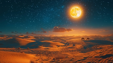 沙漠夜景