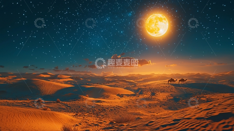 高清大图下载【趣麦麦图】沙漠夜景