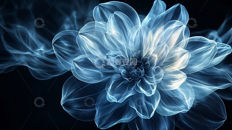 高清大图下载【趣麦麦图】蓝色梦幻花朵4