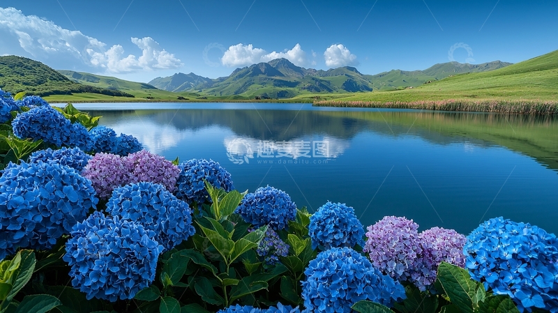 高清大图下载【趣麦麦图】蓝紫绣球花湖边风景