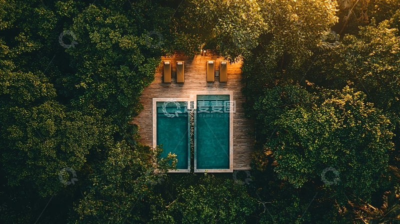 高清大图下载【趣麦麦图】树林里的泳池