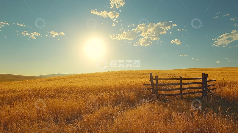 高清大图下载【趣麦麦图】金色麦田阳光下的木栅栏