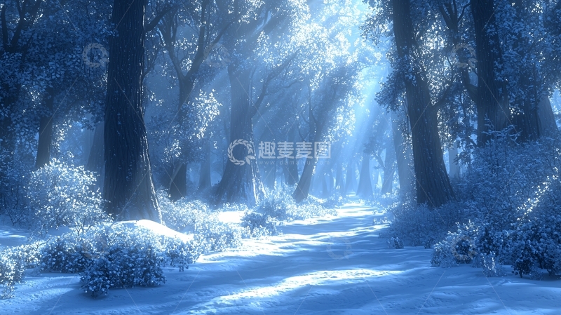 高清大图下载【趣麦麦图】冰雪森林小路