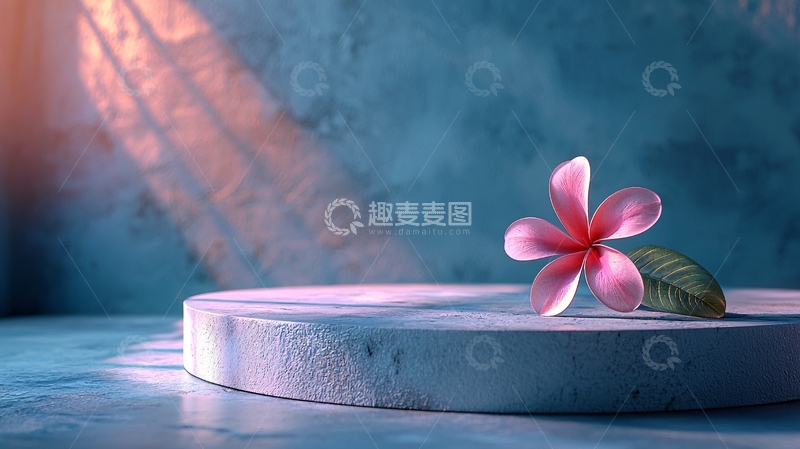 高清大图下载【趣麦麦图】光影下的粉色鸡蛋花