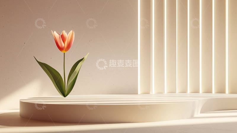 高清大图下载【趣麦麦图】单朵郁金香产品展示