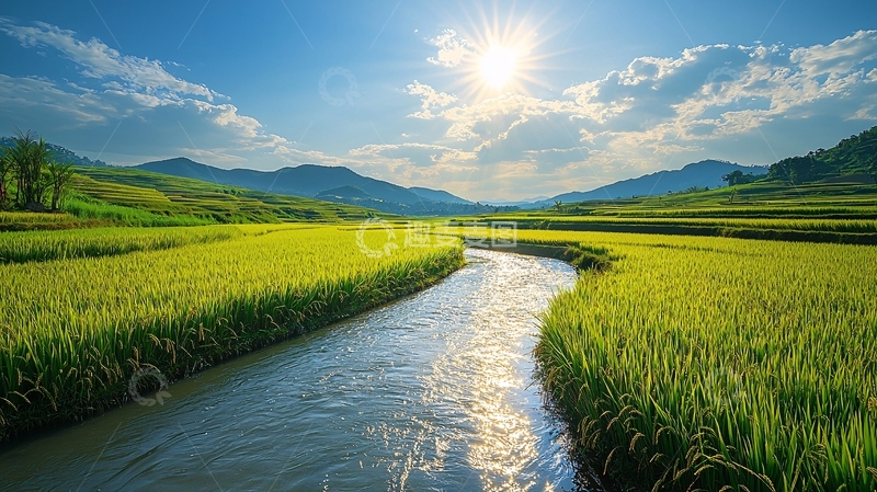 高清大图下载【趣麦麦图】阳光明媚的稻田河流