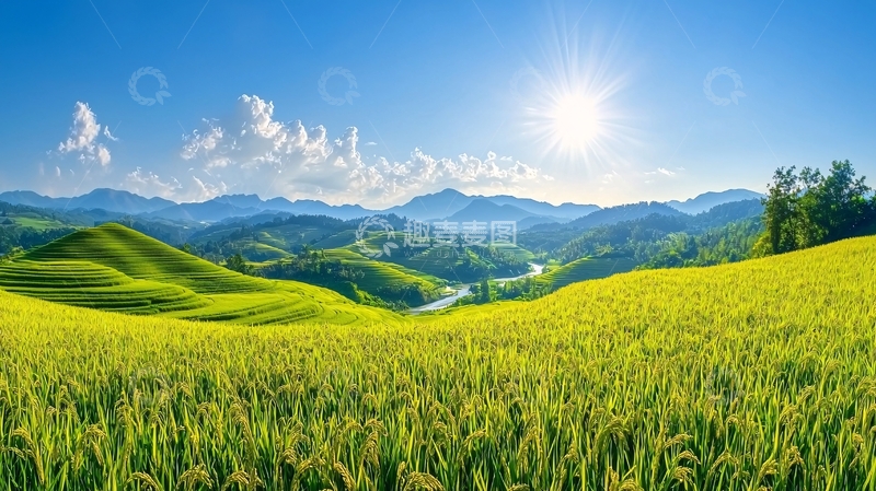 高清大图下载【趣麦麦图】阳光明媚的梯田风光