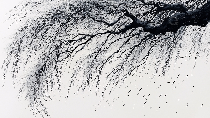 高清大图下载【趣麦麦图】垂柳枝条黑白照片