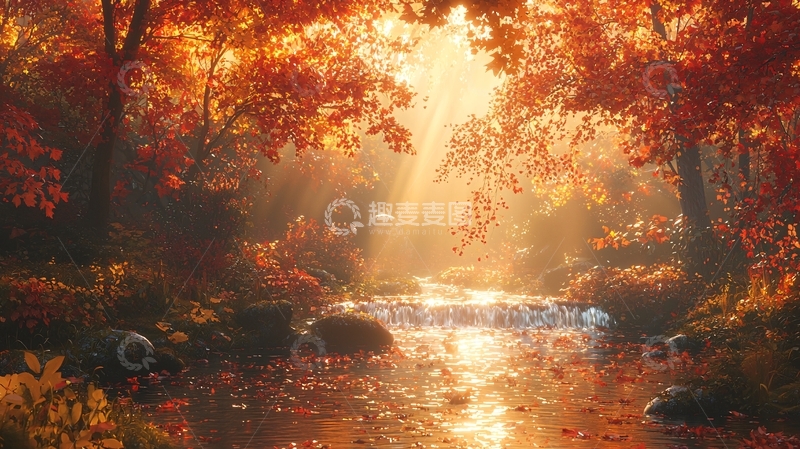 高清大图下载【趣麦麦图】秋日森林溪流阳光