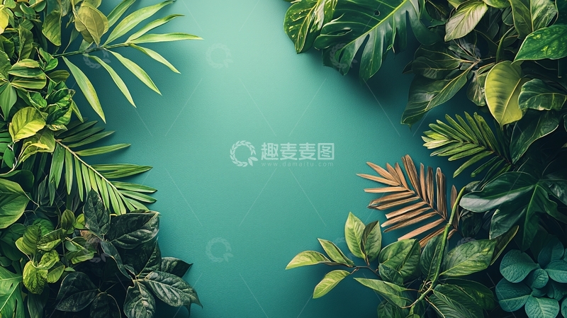 高清大图下载【趣麦麦图】热带植物绿色背景